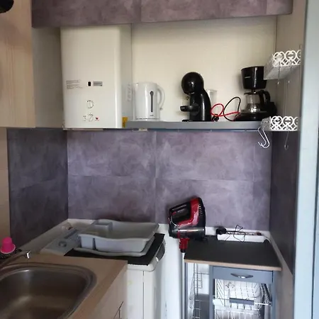 T2,33 M2,quartier Malfato Et Aqualand 公寓 阿格德